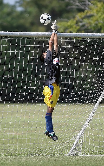 商业收益 商业收益