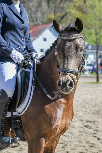 四的高壓模 四的高壓模